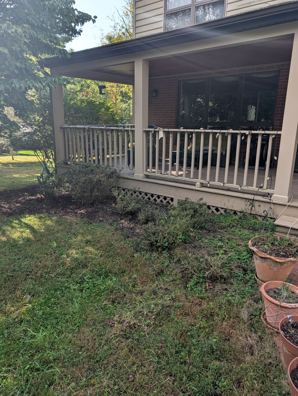Front porch beds before cleanup
