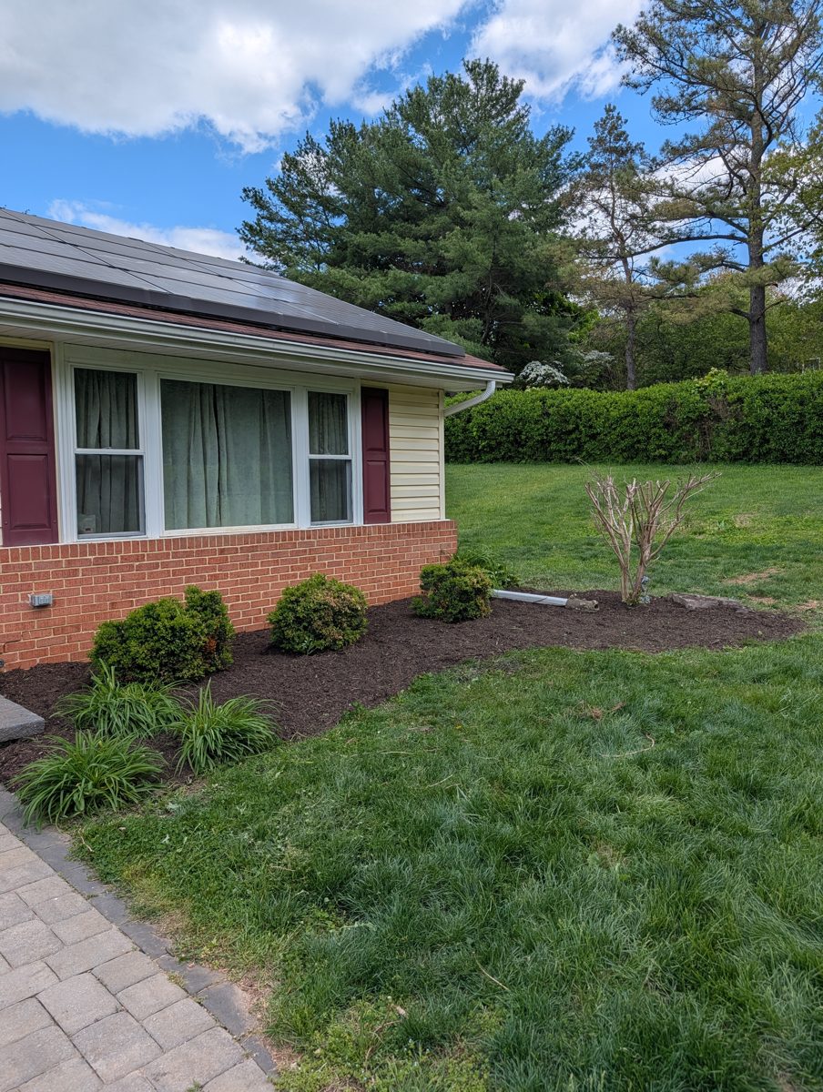 Freshly mulched bed with trimmed shrubs along a brick ranch house
