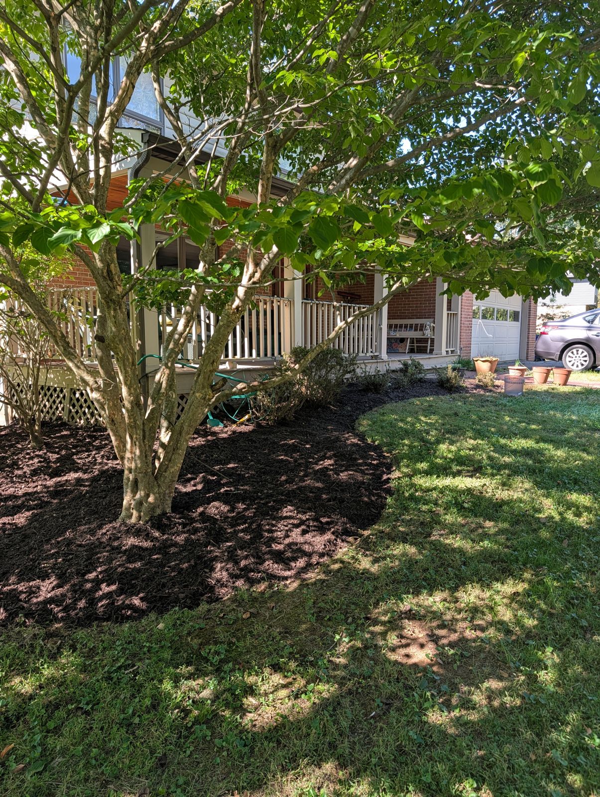 Fresh mulch bed around a front-yard tree