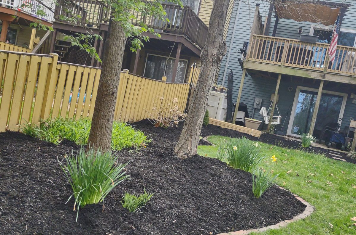 Fresh mulch beds with edging behind a row of townhomes