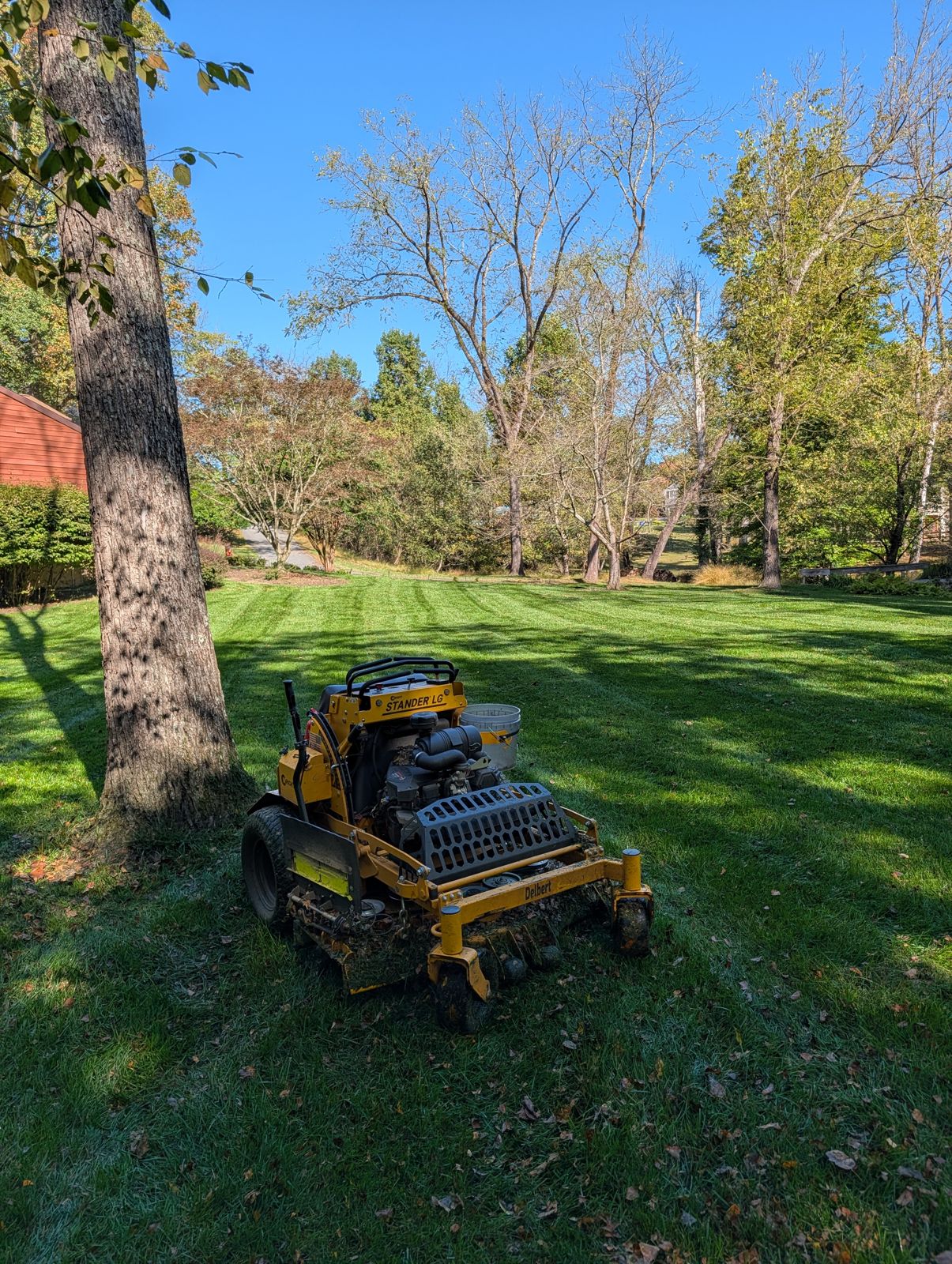 Freshly striped lawn